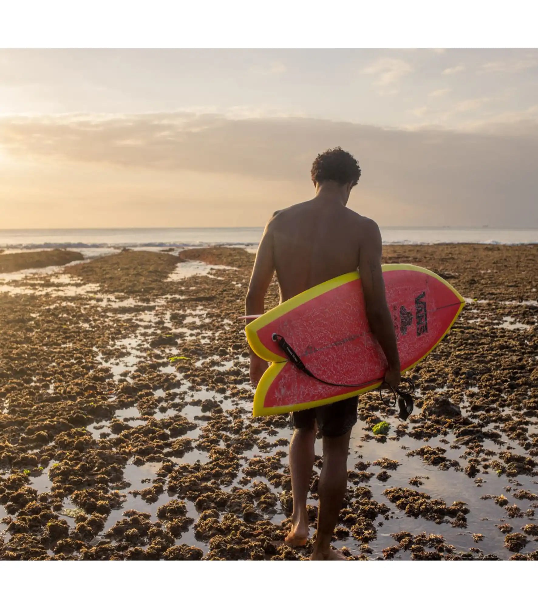 Channel Islands Mikey February Fish - Al Merrick - PU - FCS II - 2 Fin - Twin