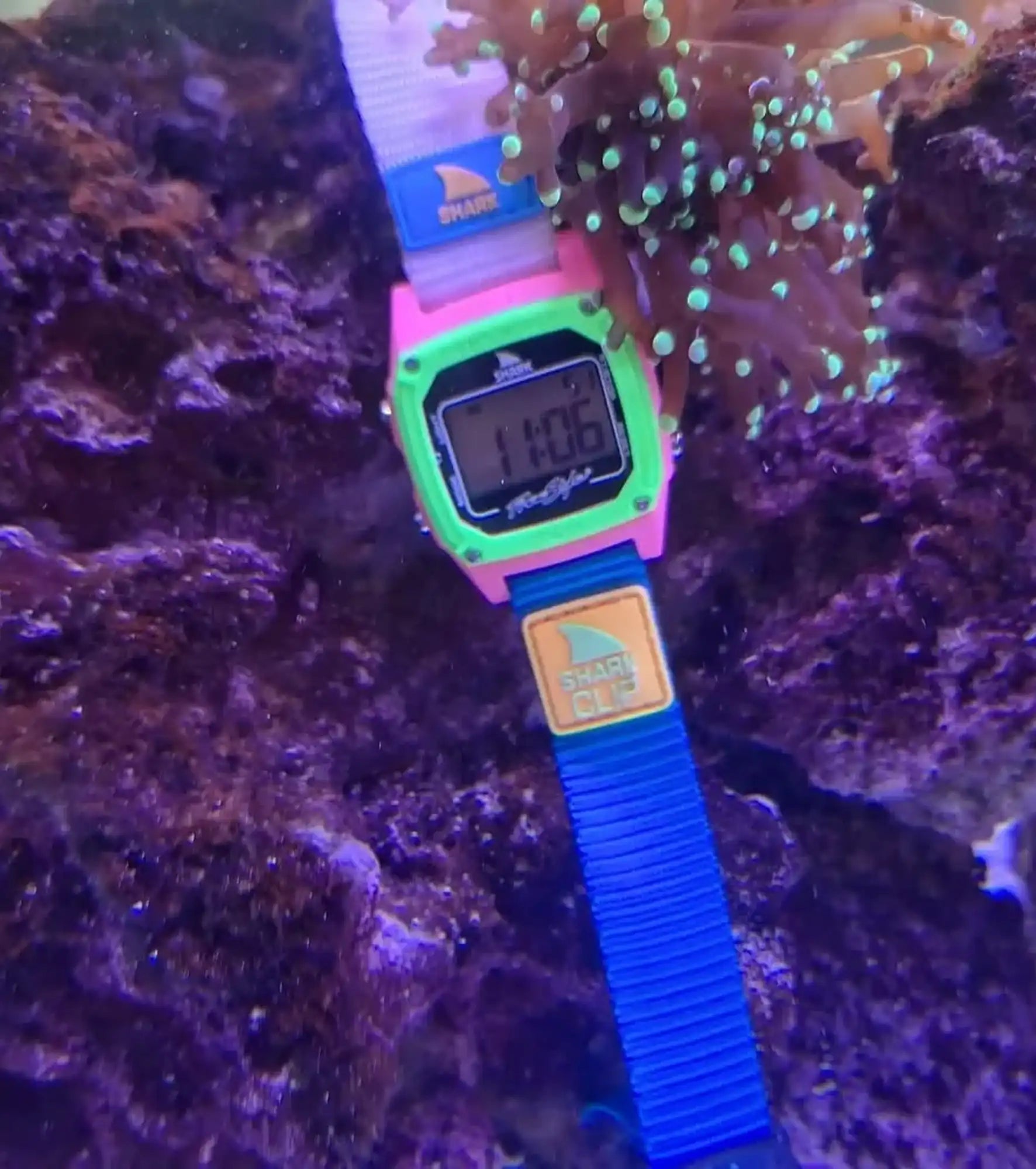 Freestyle - Shark Classic Clip - Black Neon - Watch