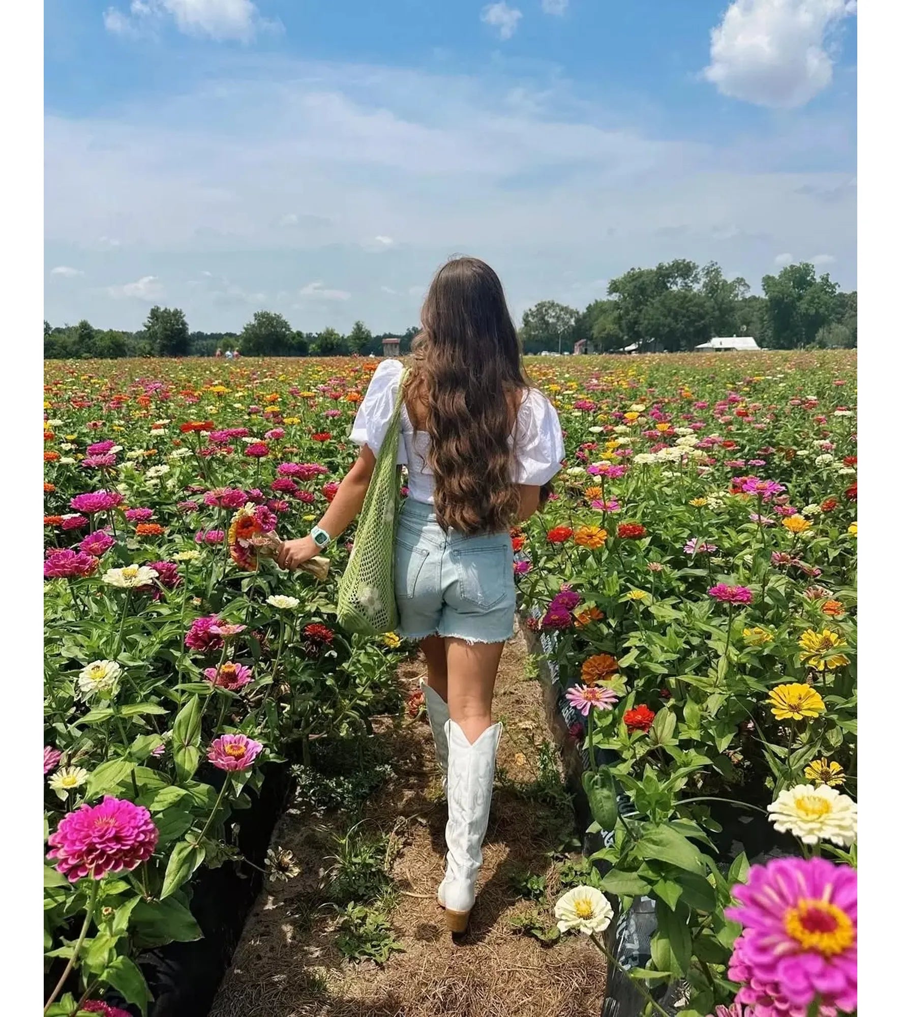 Freestyle - Shark Classic Clip - Sage Erickson - Flower Power - Watch