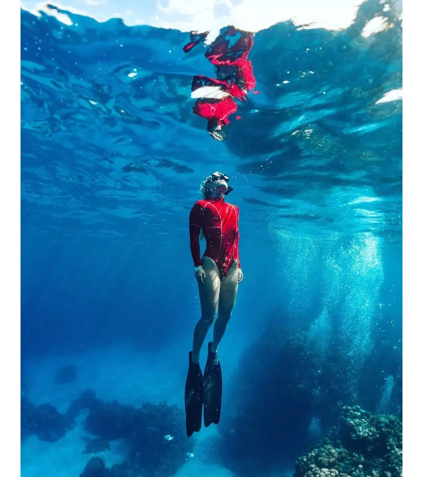 Freestyle - Shark Classic Leash - Bashful - Watch