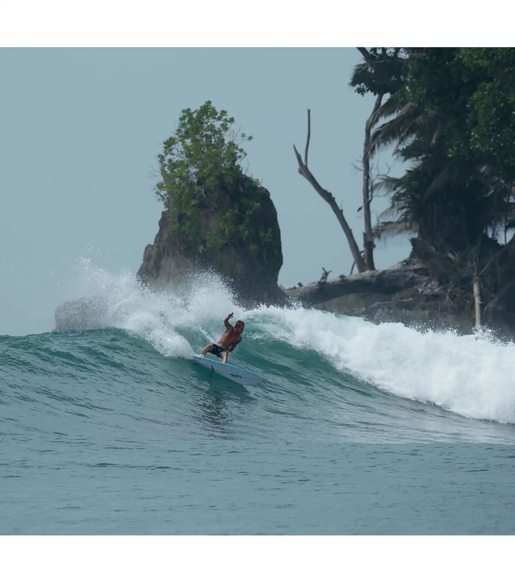 Timmy Patterson Blue Fin - Fusion HD - Futures - 5 Fin