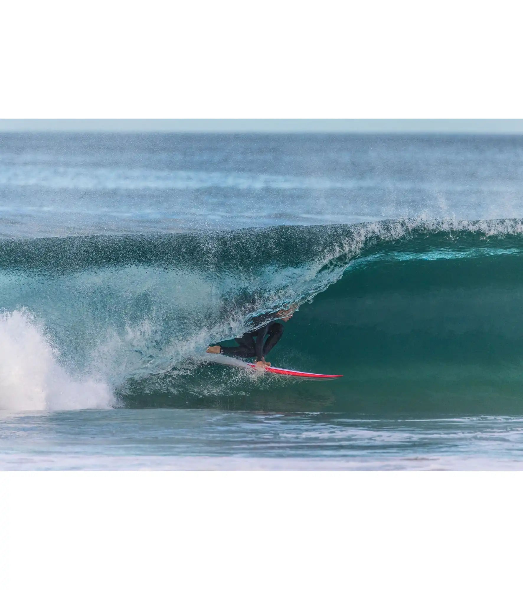 Torq BigBoy Fish TEC - FCS II - 5 Fin