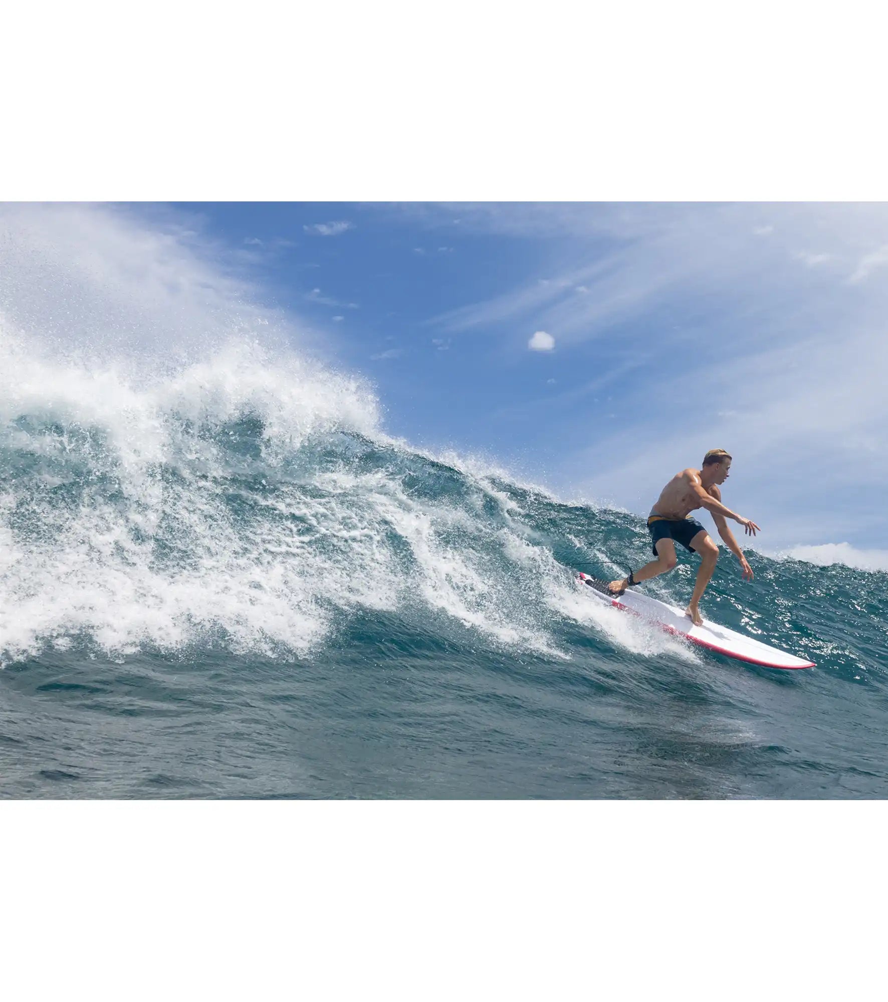 Torq BigBoy Fish TEC - FCS II - 5 Fin