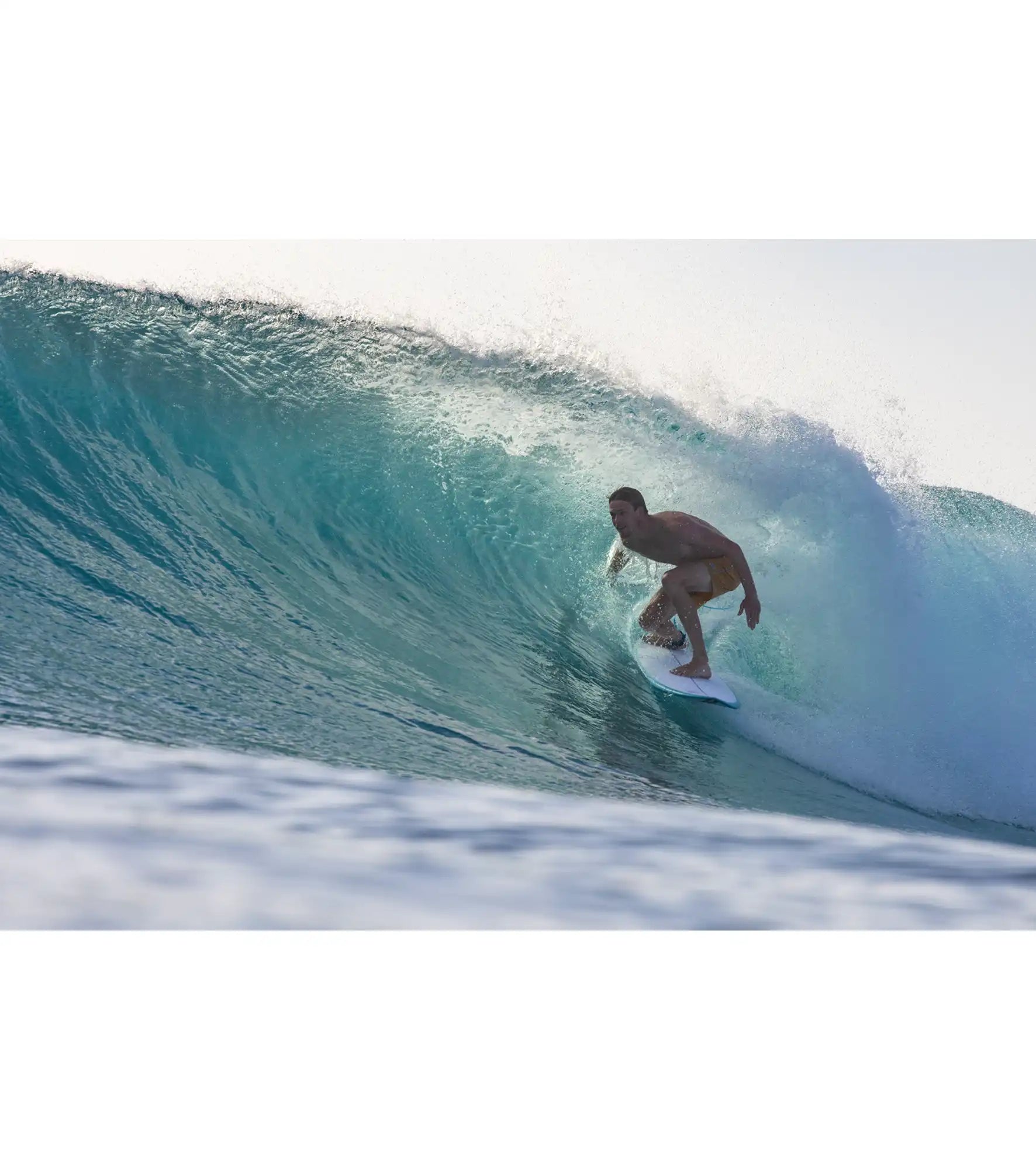 Torq Fish TEC - FCS II - 2 Fin