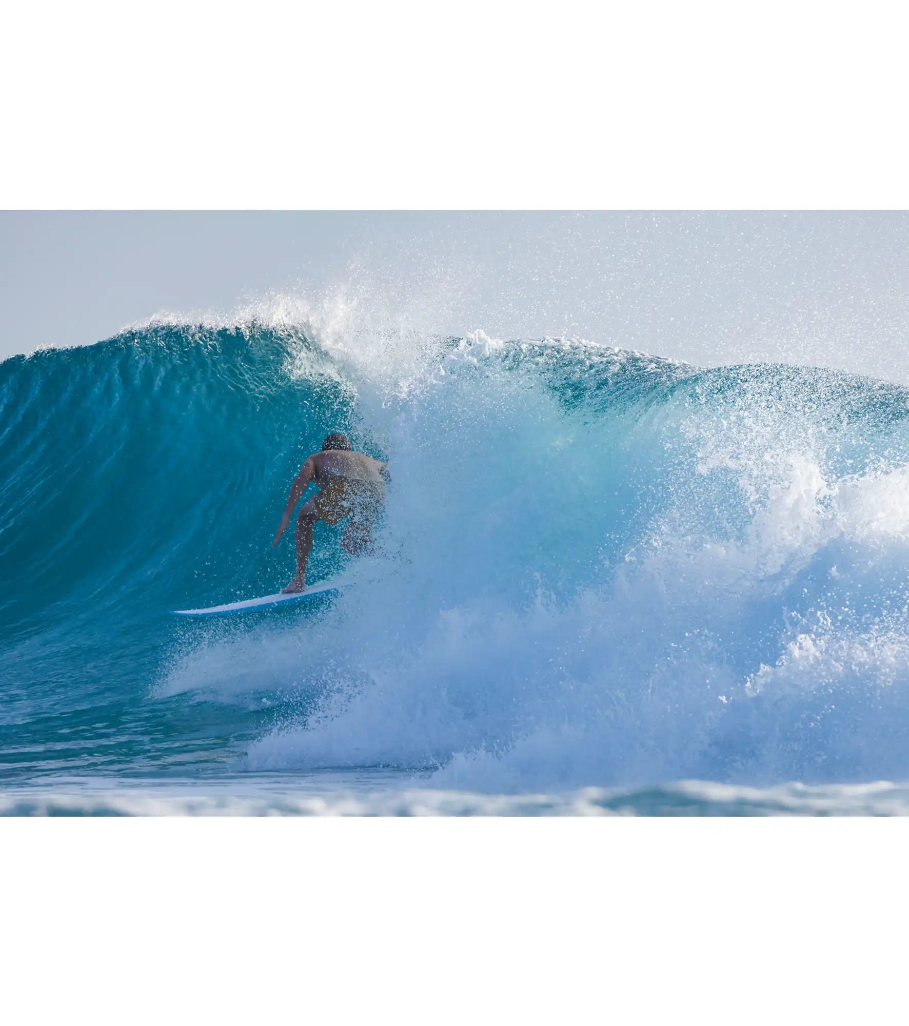 Torq Fish TEC - FCS II - 2 Fin