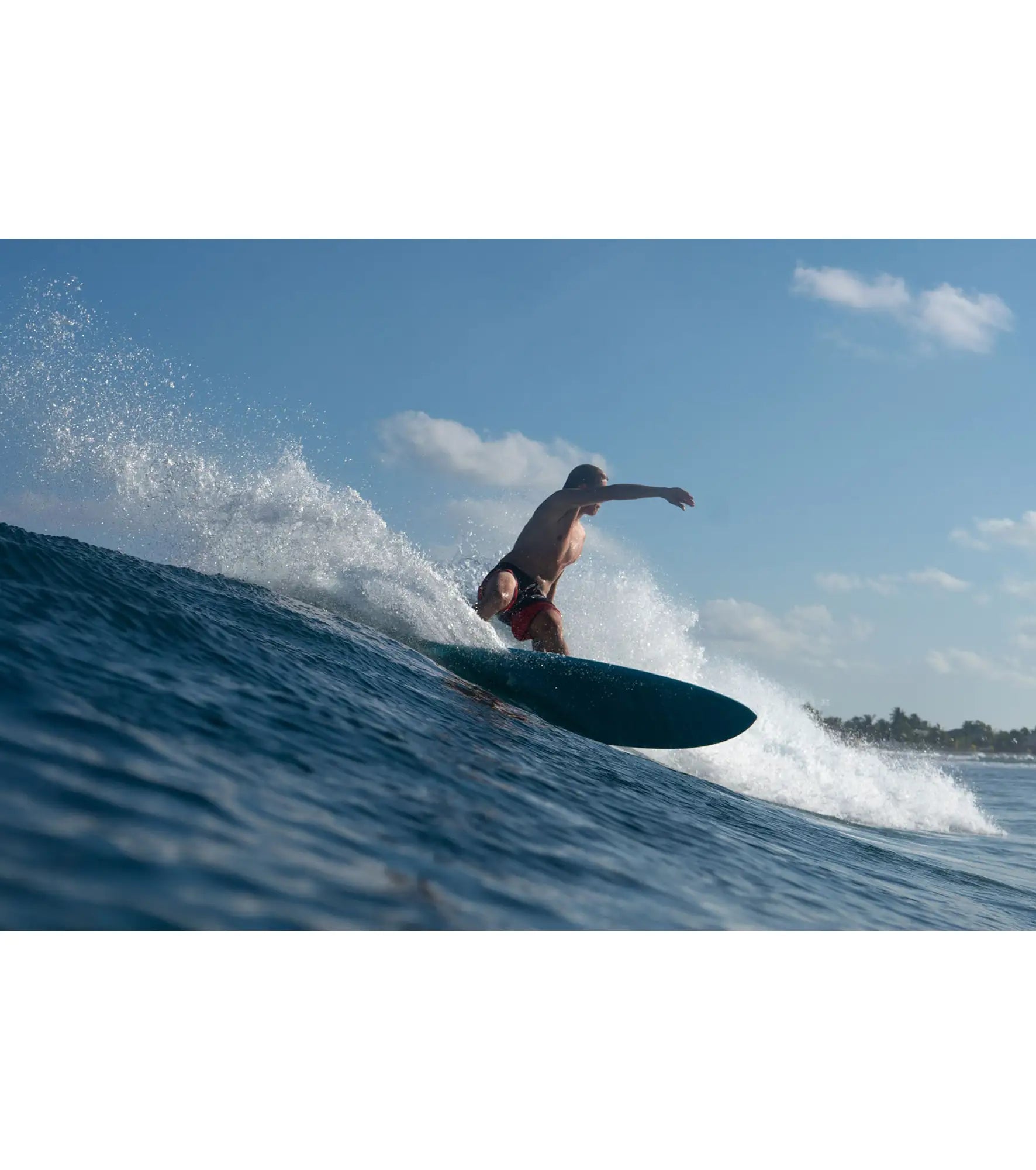 Torq Mod Fish Soft Performance - Futures - 5 Fin