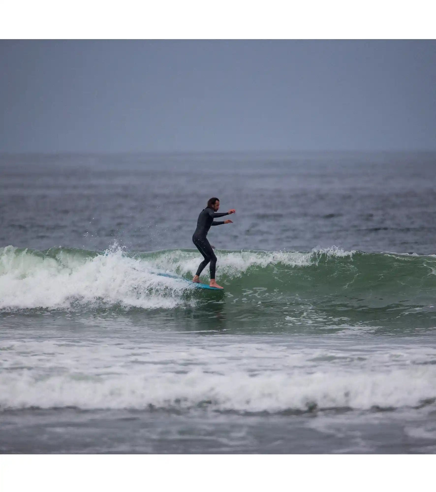 Wayne Rich - Checkmate - NFT - Single Fin