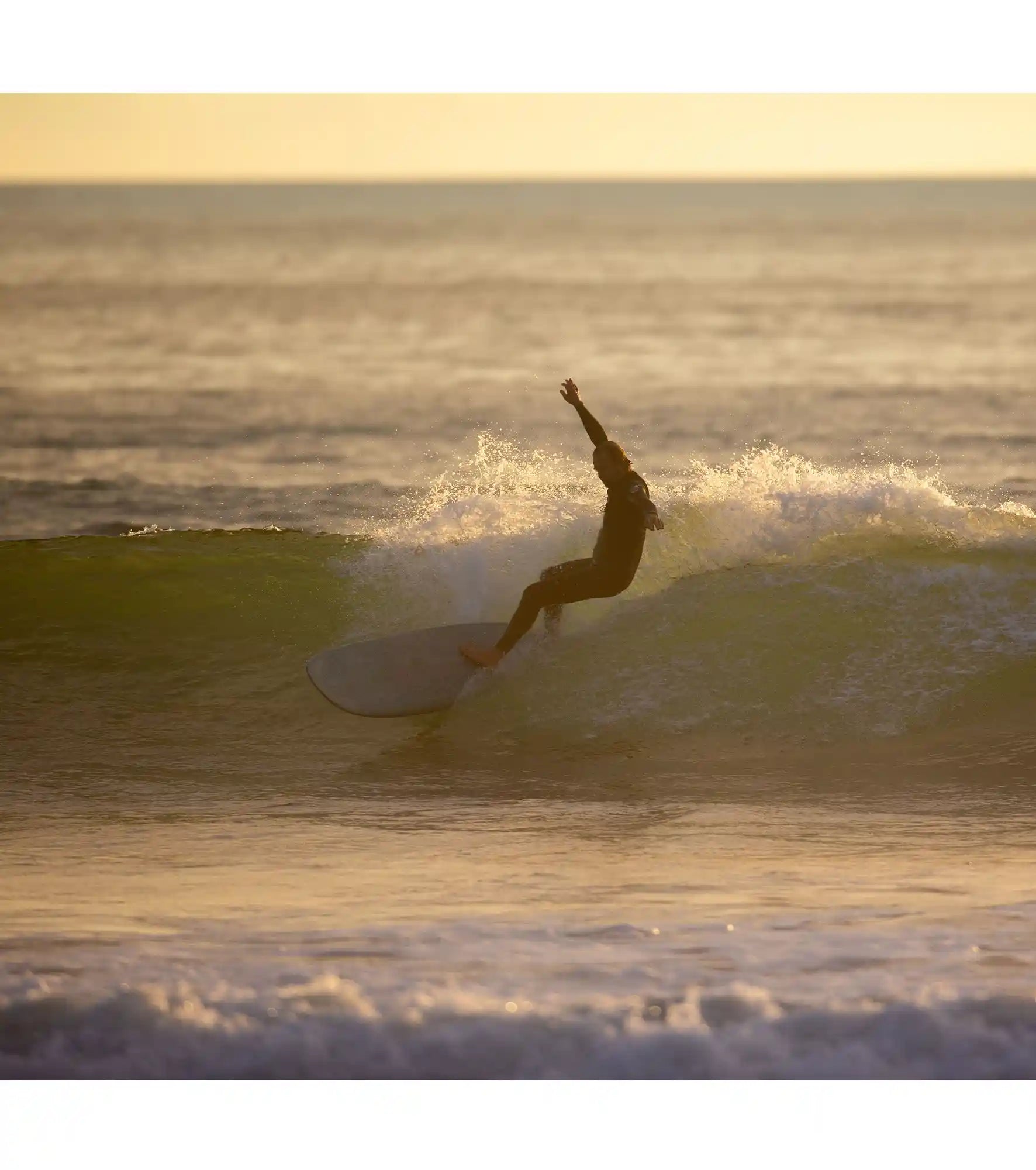 Wayne Rich - Checkmate - NFT - Single Fin