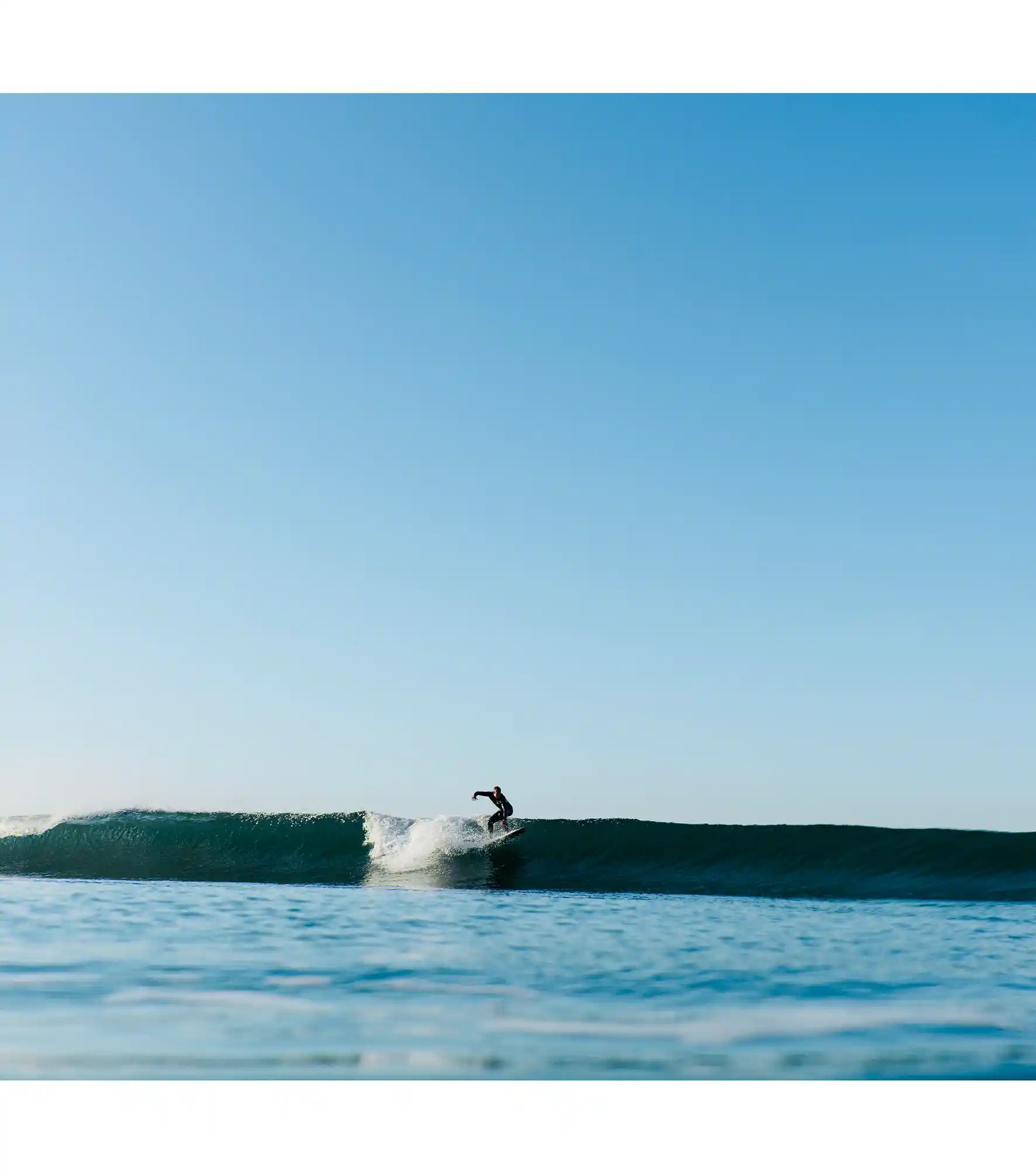 Wayne Rich - Singularity - Carbon - FCS II - 2 + 1 Fin