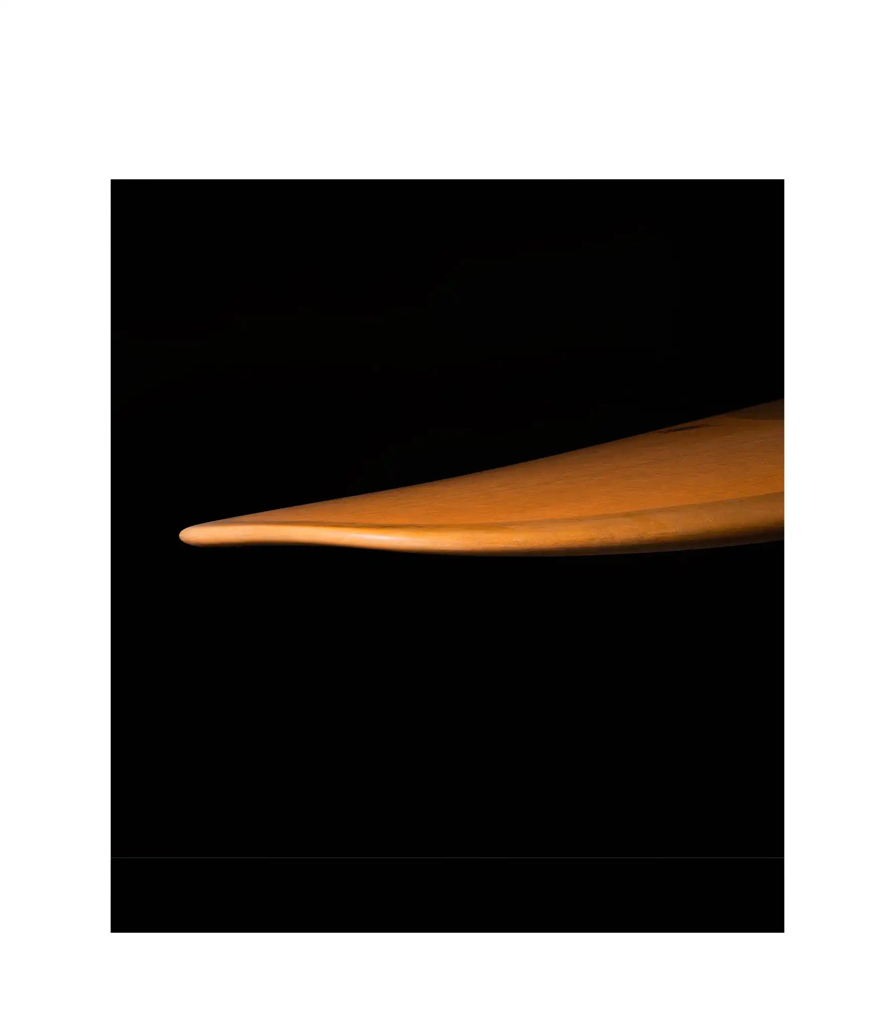 Wayne Rich - Wildcard 3 - NFT - Single Fin