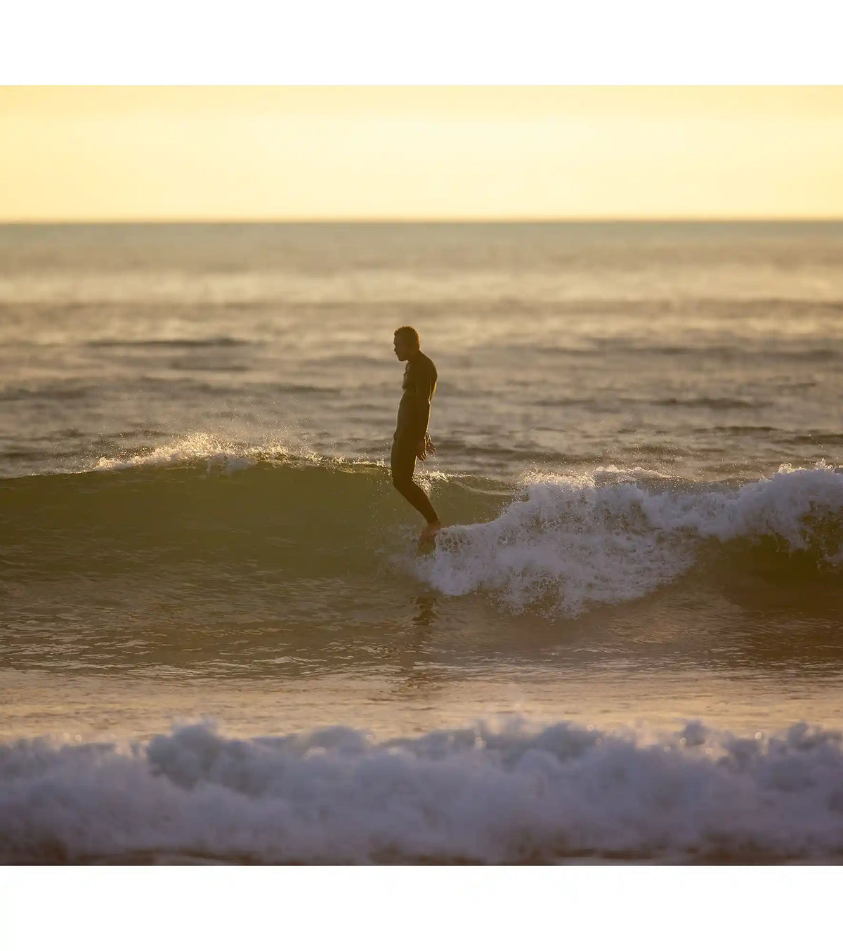 Wayne Rich - Wildcard 3 - NFT - Single Fin