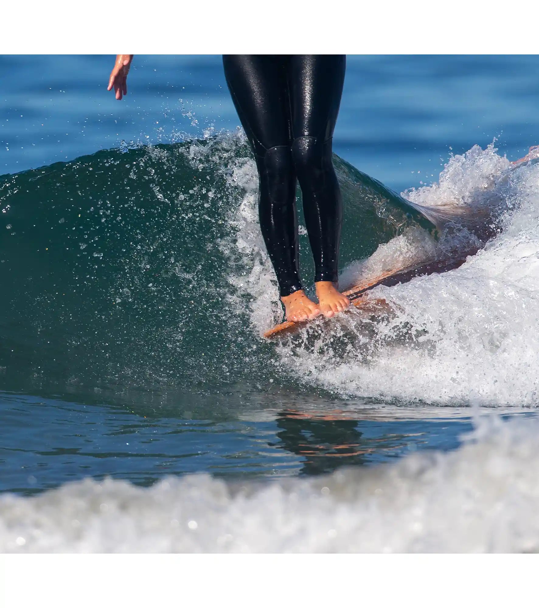 Wayne Rich - Wildcard 3 - NFT - Single Fin