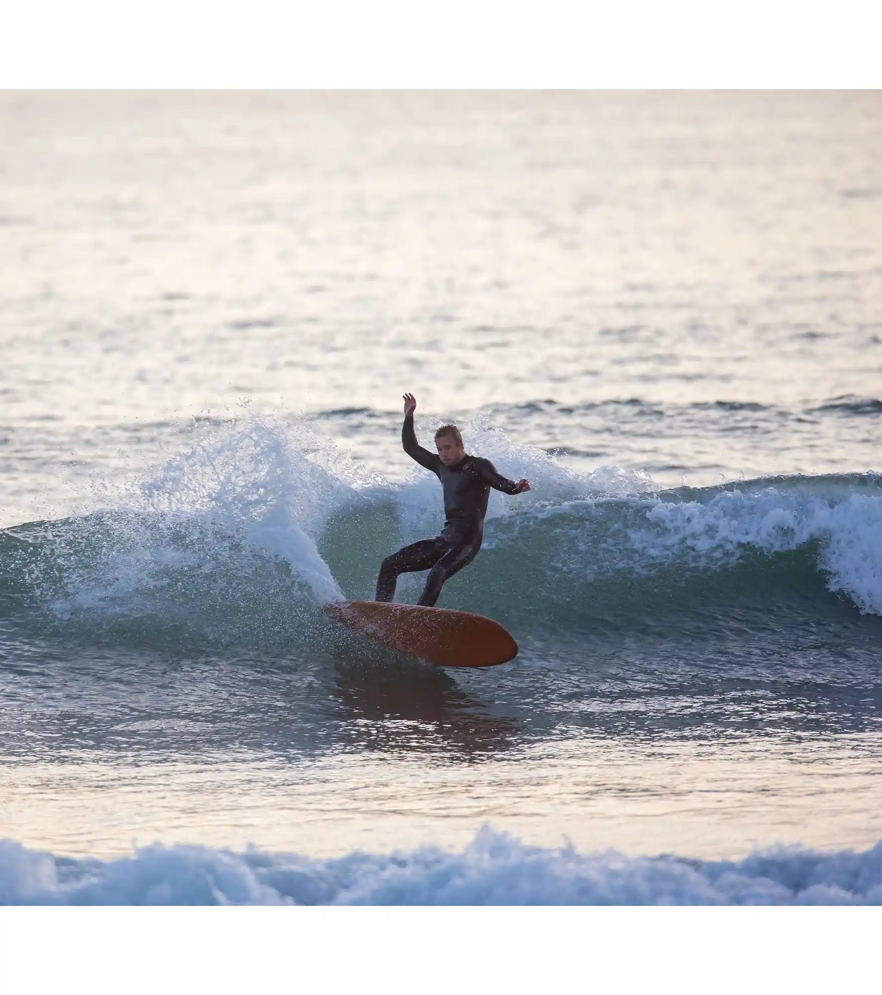 Wayne Rich - Wildcard 3 - NFT - Single Fin