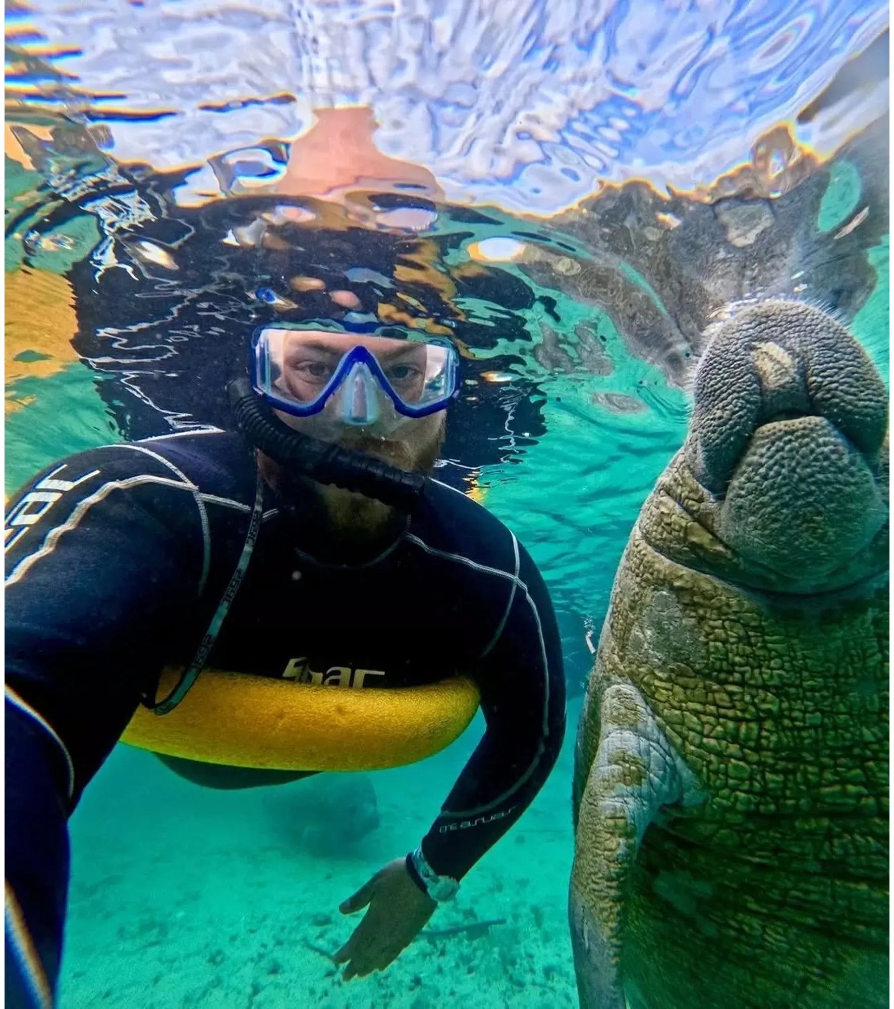 Freestyle - Shark Classic Clip - Octopus - Watch