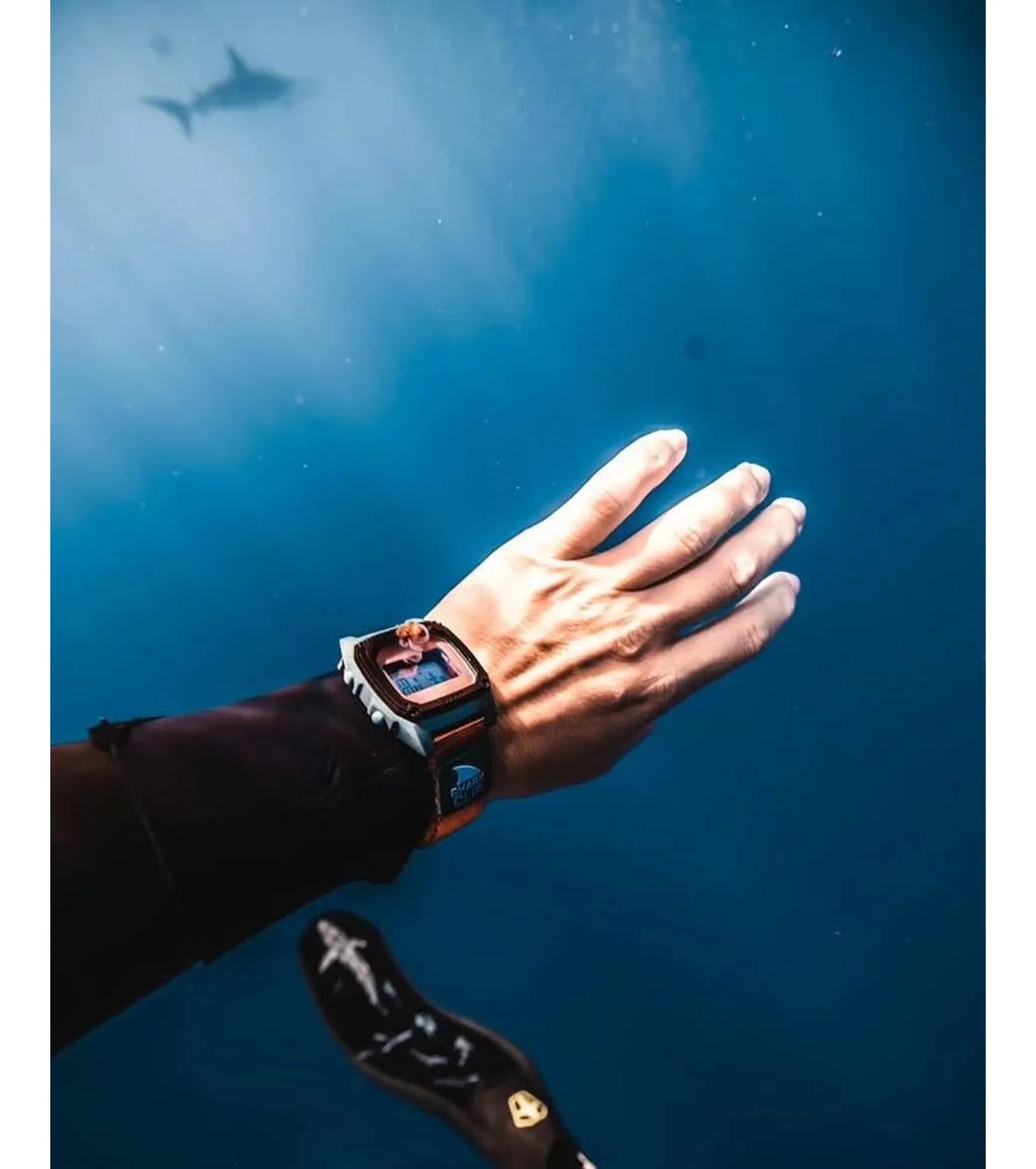 Freestyle - Shark Classic Clip - Sea and Sand - Watch