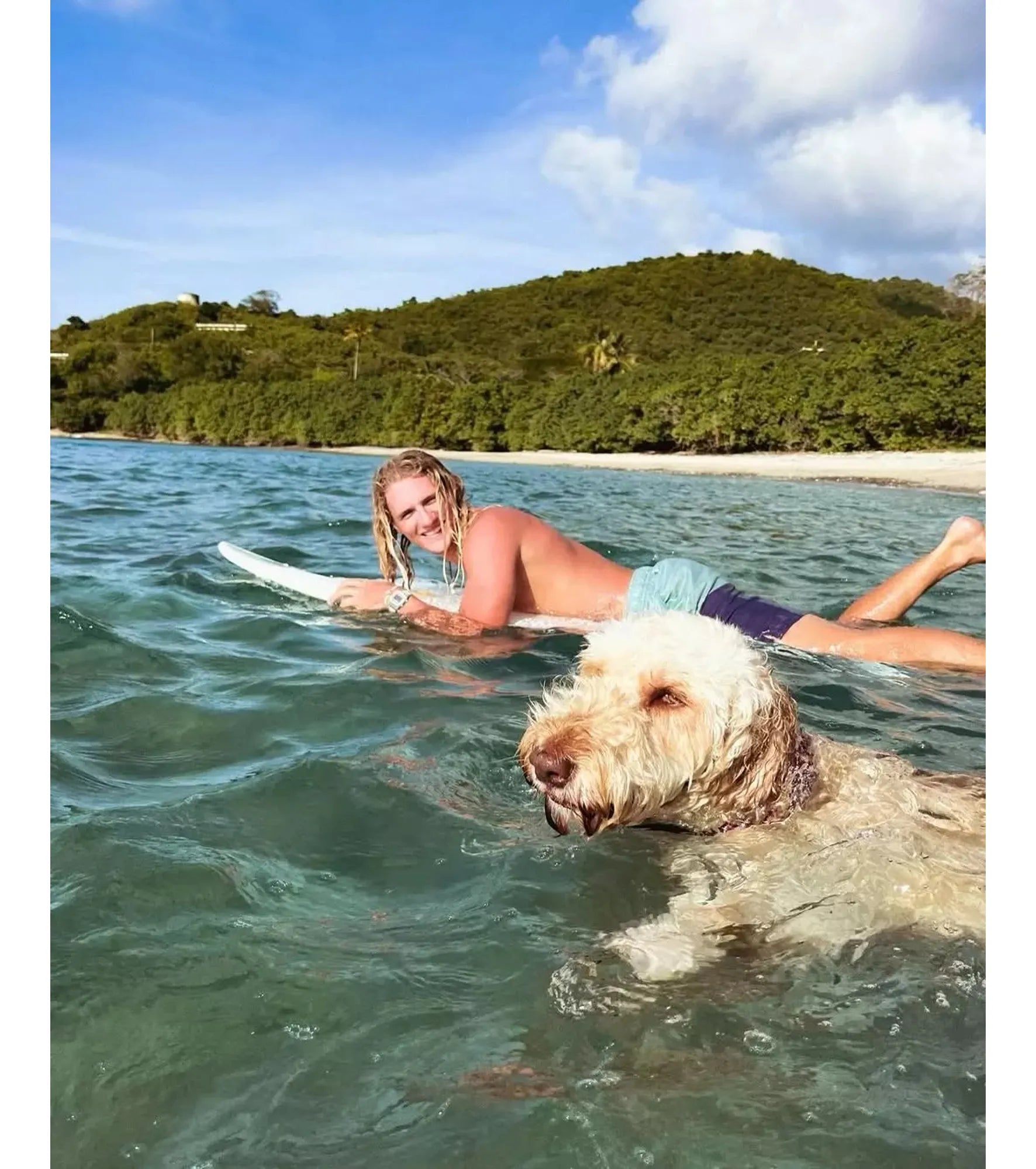 Freestyle - Shark Classic Leash - Cabo - Watch