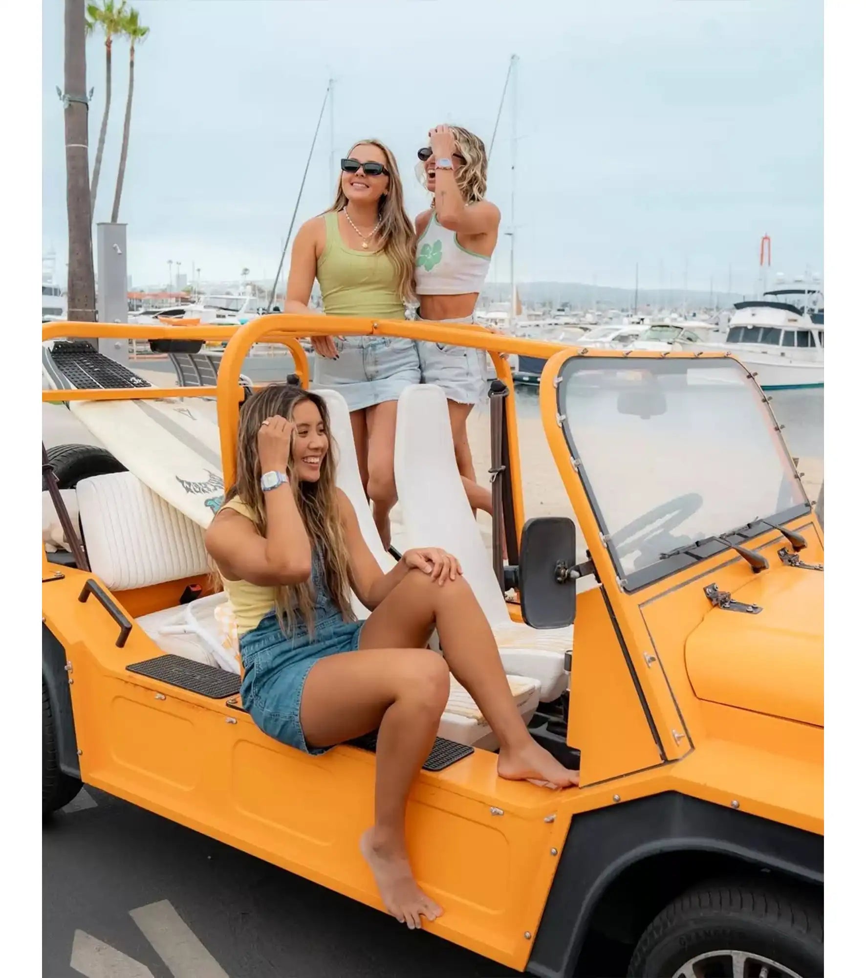 Freestyle - Shark Classic Clip - Fizzberry - Watch