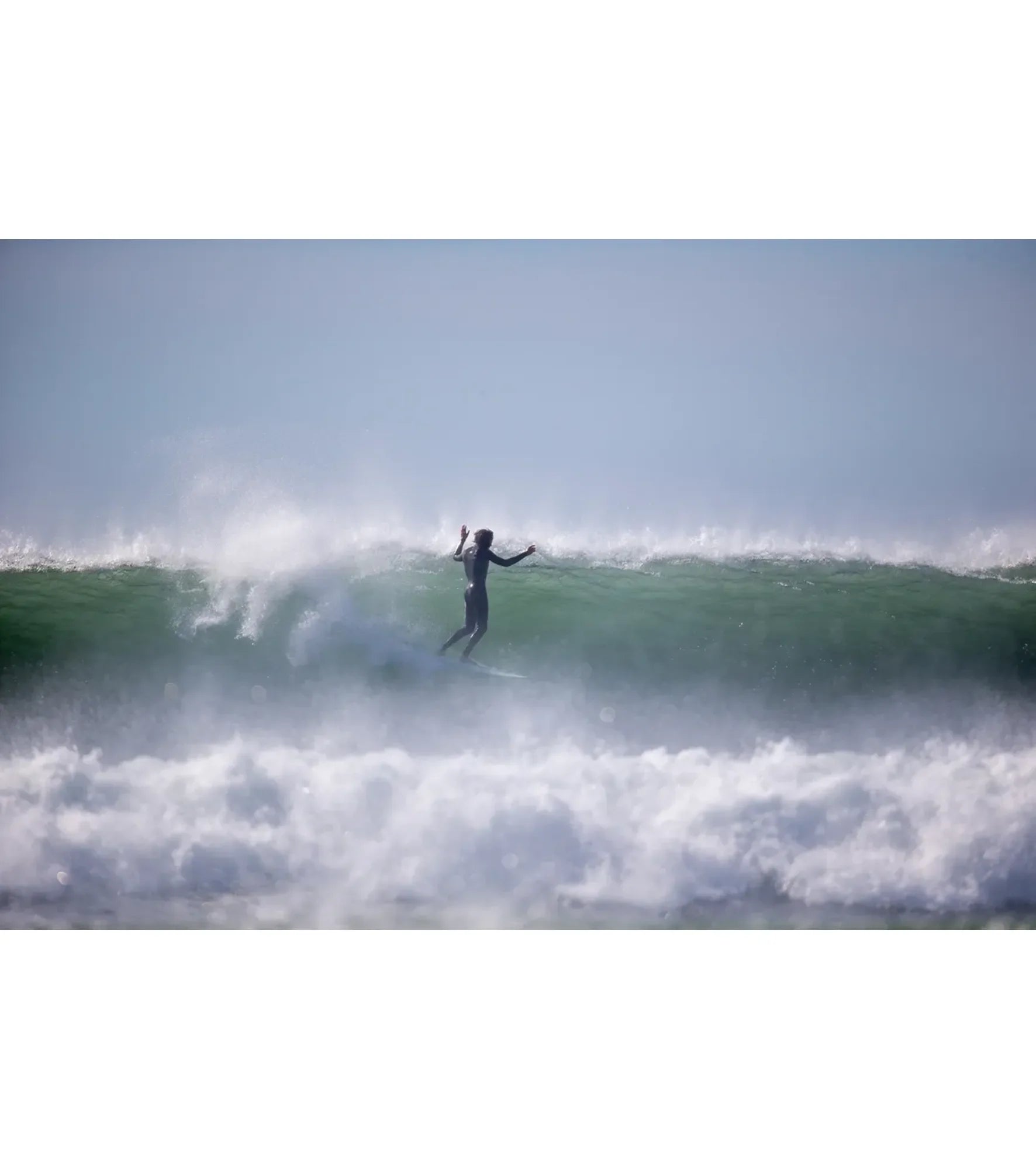 Roger Hinds Tamago - Fusion HD - Futures - 2 + 1 Fin