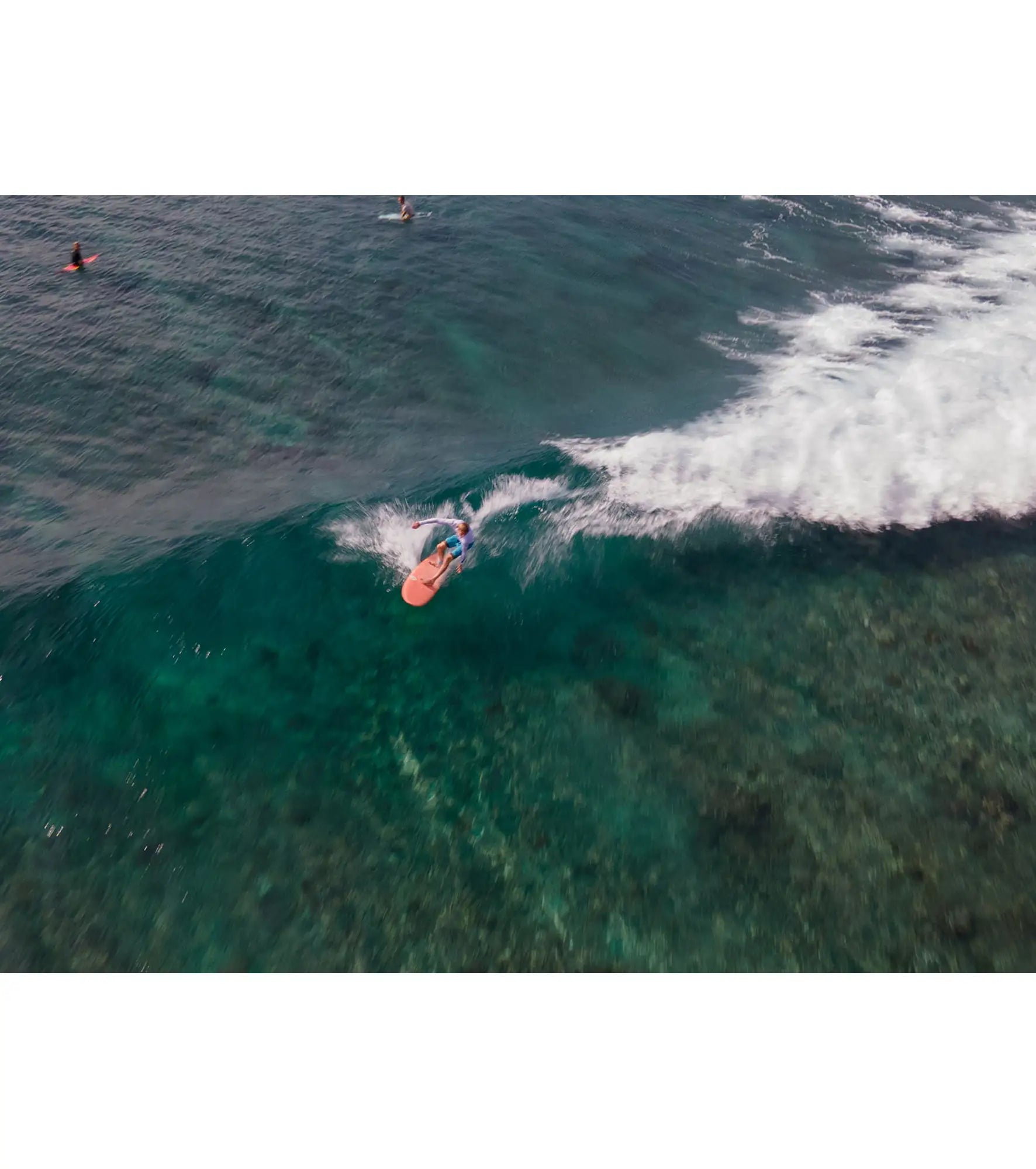 Torq Mod Fish Soft Performance - Futures - 5 Fin