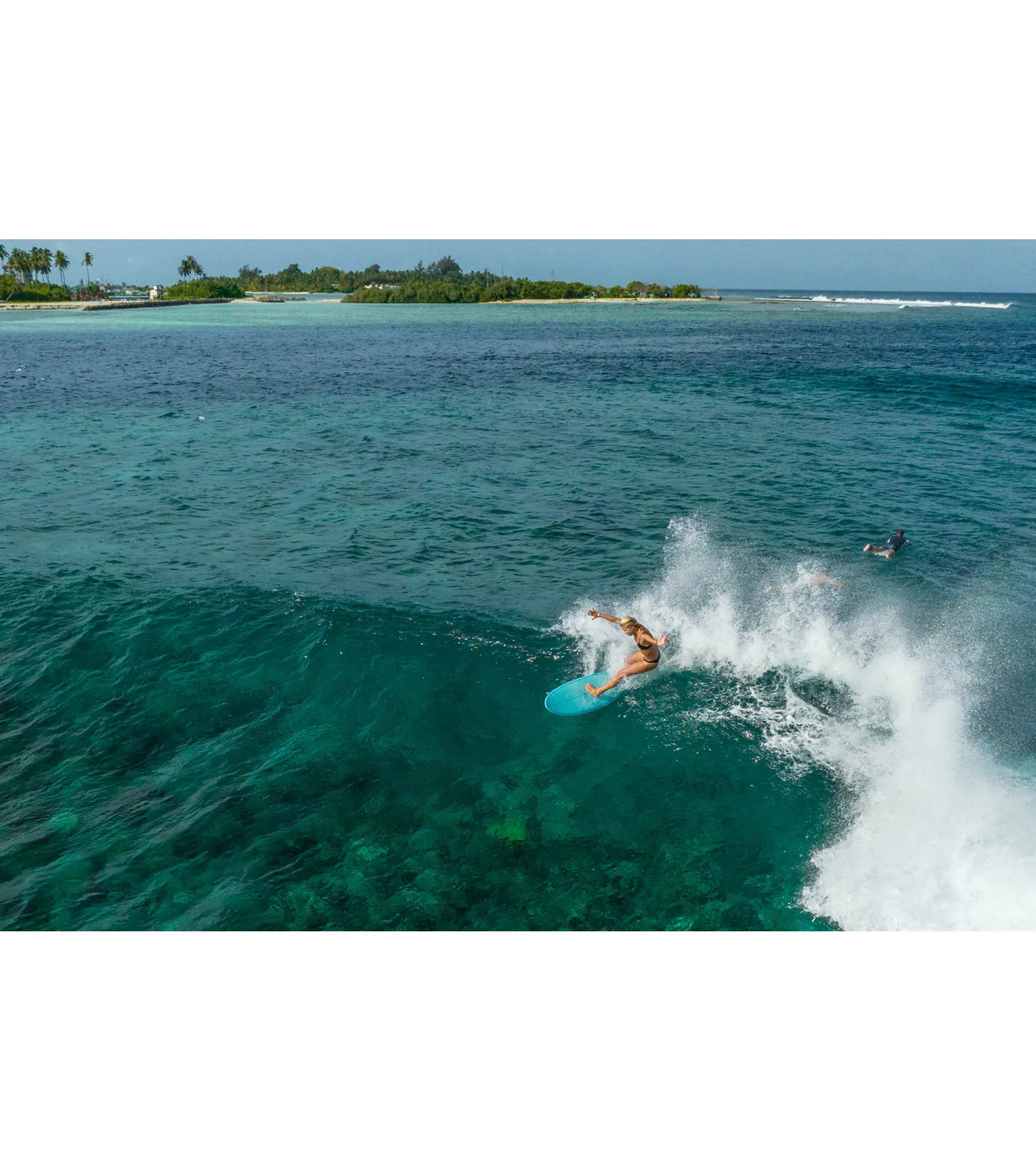 Torq Mod Fish CS - Futures - 5 Fin