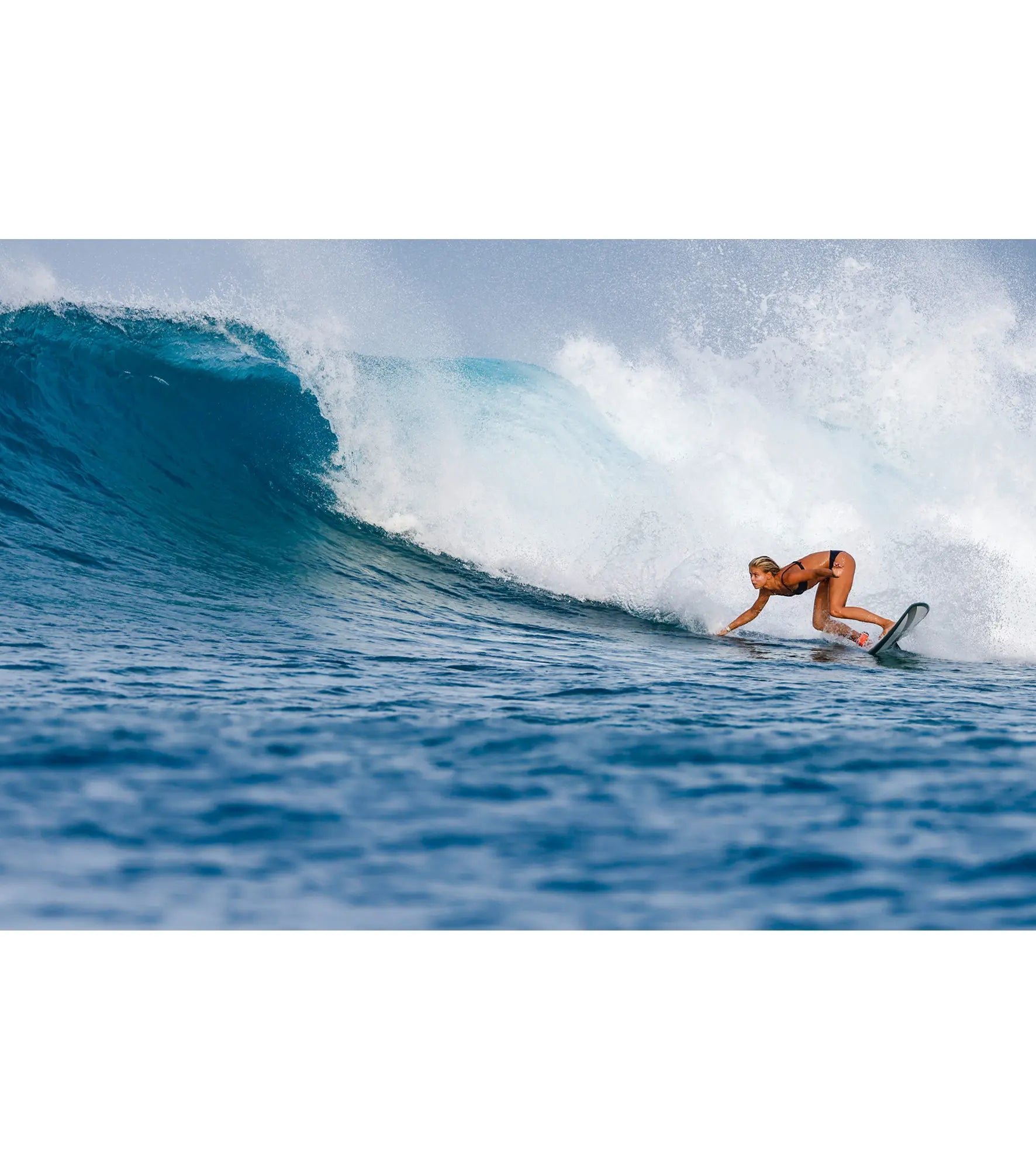 Torq Mod Fish Soft Performance - Futures - 5 Fin