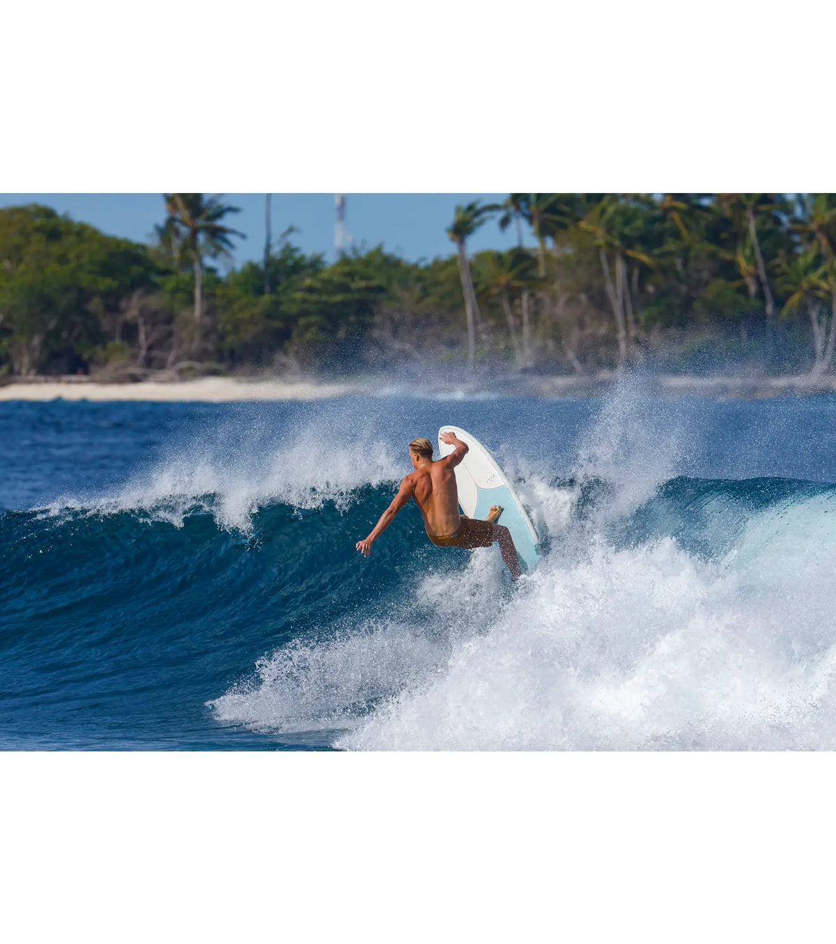 Torq Mod Fun TET - Futures - 3 Fin - Laguna